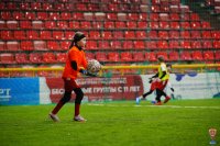 Centre Gradilenko-Maksoft Cup 2026. 2017 г.р. 8.02.26